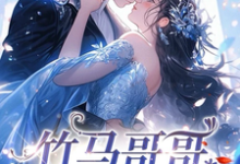 《竹马哥哥对我图谋不轨》林思弈涂木木完整版小说免费阅读-艾米文学