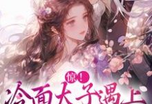 惊！冷面太子遇上刁蛮女杀手小说阅读，惊！冷面太子遇上刁蛮女杀手完结版-艾米文学