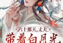 六十那天，丈夫带着白月光回府了小说的免费电子版在哪里可以下载或阅读？-艾米文学