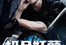 极品妖孽小说全文哪里可以免费看？-艾米文学