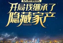 免费在线阅读医婿崛起：开局我继承了隐藏家产小说的正规网站有哪些？-艾米文学