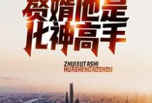 赘婿他是化神高手免费阅读，赘婿他是化神高手章节目录-艾米文学