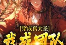 穿成真大圣,我成团队香饽饽小说完结版章节免费阅读-艾米文学