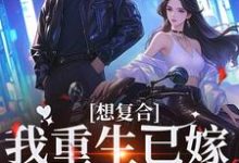 在线免费阅读想复合?我重生已嫁超级豪门完整小说-艾米文学