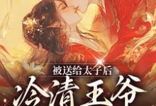 哪里可以免费找到被送给太子后，冷清王爷红了眼？-艾米文学