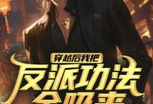 穿越后我把反派功法全吸来小说有没有完整的免费版本在线阅读？-艾米文学