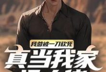 我爹被一刀砍死？真当我家没大佬最新章节，我爹被一刀砍死？真当我家没大佬免费阅读-艾米文学