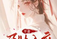 平妻孕肚入府,她休夫绝不原谅宋徽音,平妻孕肚入府,她休夫绝不原谅在线无弹窗阅读-艾米文学