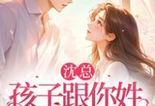 苏倾沈斯妄小说完整版《沈总,孩子跟你姓,谁的你别管》免费阅读-艾米文学