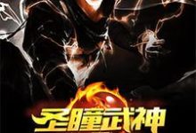 小说《都市圣瞳武神》完整版章节免费阅读-艾米文学