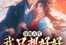 已完结小说《穿越古代,我只想好好发家致富》章节在线阅读-艾米文学