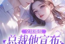 全球播报:总裁他宣布夫人身份了!小说无弹窗阅读的网站推荐-艾米文学