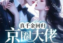 完整版的真千金回归,京圈大佬跪地宠小说在哪里可以免费读到?-艾米文学