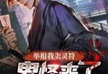 小说《举报我卖灵符,鬼怪来了你哭什么?》在线章节阅读-艾米文学