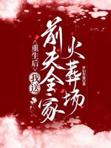 免费在线阅读重生后，我送前夫全家火葬场小说的正规网站有哪些？