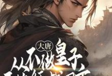 李承乾完整版《大唐:从不做皇子开始征战四方》小说免费阅读-艾米文学