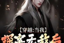 《穿越：当我探案无敌后，身份被爆了》完整版小说免费阅读-艾米文学