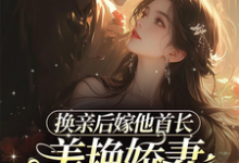 沈叶柠陆正骁小说换亲后嫁他首长,美艳娇妻赢麻了完整版阅读-艾米文学