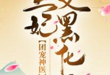 团宠神医：王爷，王妃又黑化了盛锦姝阎北铮小说完结版章节在线阅读-艾米文学