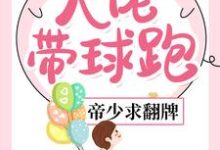 大佬带球跑,帝少求翻牌小说最新更新在哪里?免费在线看-艾米文学