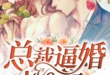 在线免费阅读总裁逼婚100次完整小说-艾米文学