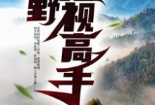 在线寻找山野透视高手小说的无删减版本-艾米文学