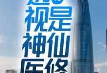 小说《乡村:透视神医是仙修》在线章节阅读-艾米文学