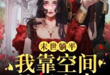 末世躺平：我靠空间养活家人叶欣小说在线章节免费阅读-艾米文学