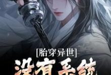 小说完整版《胎穿异世:没有系统,我举步维艰》免费阅读-艾米文学