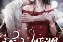 小说完整版《诱入婚渊》免费阅读-艾米文学