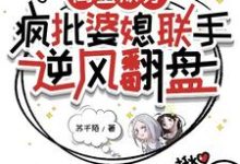闺蜜双穿：疯批婆媳联手逆风翻盘小说无弹窗阅读的网站推荐-艾米文学