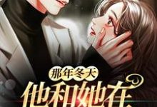 完整版小说《那年冬天,他和她在月光下重逢》免费阅读-艾米文学