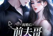 离婚后，前夫哥苦等我回头最新章节，离婚后，前夫哥苦等我回头免费阅读-艾米文学