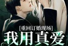 重回订婚现场,我用真爱报以情章节免费在线阅读,沐宛况野完结版-艾米文学