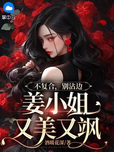 不复合，别沾边，姜小姐又美又飒免费阅读，不复合，别沾边，姜小姐又美又飒章节在线阅读