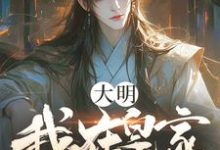 《大明：我在皇家当老六》全集免费在线阅读（叶荒）-艾米文学
