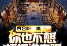 《四合院：秦，你也不想棒梗进牢吧》小说程治国章节章节免费在线阅读-艾米文学