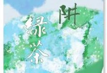 绿茶陷阱完整版小说免费阅读，绿茶陷阱小说-艾米文学