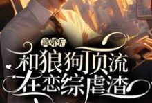 舒乐生宋临简小说离婚后和狼狗顶流在恋综虐渣在线阅读章节-艾米文学