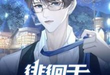 凌桦季景霄小说【ABO】徘徊于黑化的边缘章节免费阅读-艾米文学