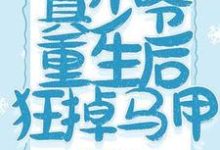 《真少爷重生后狂掉马甲》完整版小说免费阅读-艾米文学