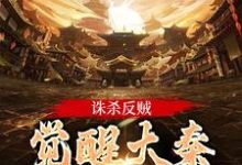 诛杀反贼，觉醒大秦千年气运嬴启在线章节免费阅读-艾米文学