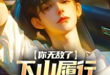 小说《你无敌了,下山履行使命去吧!》章节免费阅读-艾米文学