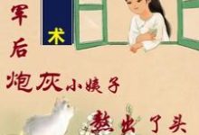 姐随军后,炮灰小姨子熬出了头小说阅读,姐随军后,炮灰小姨子熬出了头完结版-艾米文学