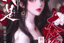 疯批大佬们别过来!我是恶毒女配小说无弹窗阅读的网站推荐-艾米文学