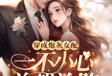 王七七顾浩南完整版《穿成炮灰女配，一不小心总裁沦陷》小说免费阅读-艾米文学