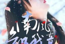 南风知我意,生生盼霄北完整版小说免费阅读,南风知我意,生生盼霄北小说-艾米文学