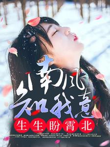 南风知我意，生生盼霄北完整版小说免费阅读，南风知我意，生生盼霄北小说