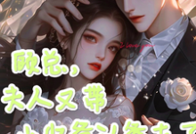 顾总,夫人又带小少爷认爹去了免费阅读,顾总,夫人又带小少爷认爹去了章节在线阅读-艾米文学