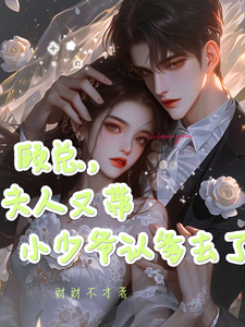 顾总，夫人又带小少爷认爹去了免费阅读，顾总，夫人又带小少爷认爹去了章节在线阅读